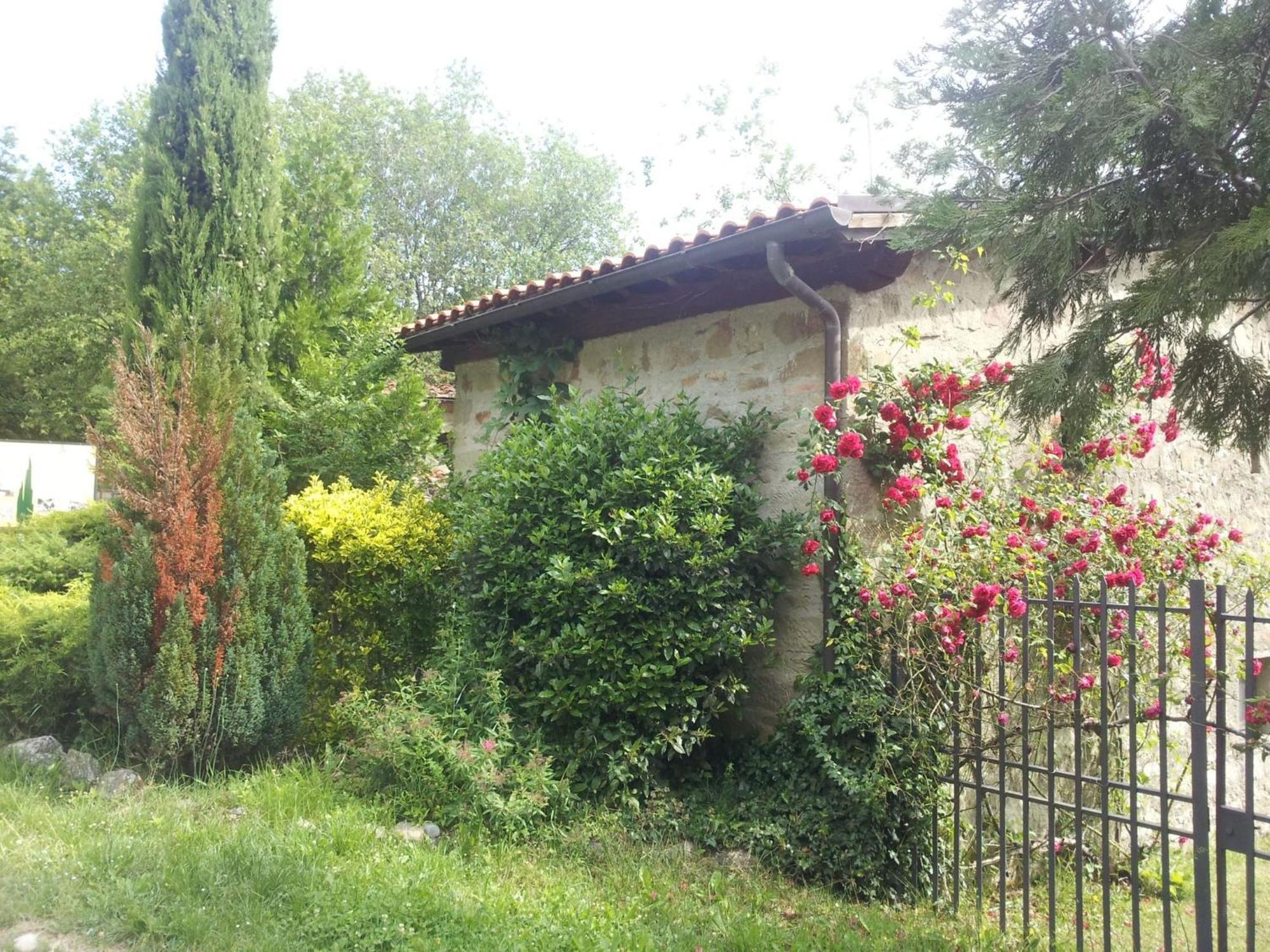 Castelfranco di Sopra Fattoria Il Praticino - Metato 빌라 외부 사진